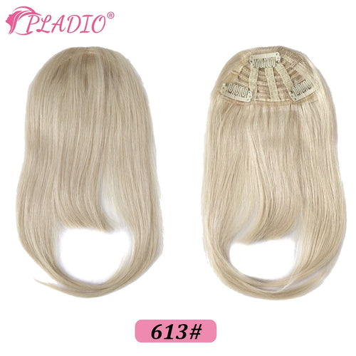 Straight Human Hair Bangs Clip in Hair Extensions 100% Remy Hair Clip On Bangs Fringe 3 Clips Hair Pieces for Women