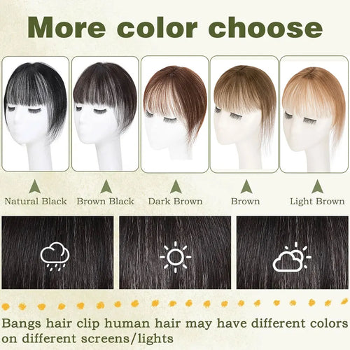 S-noilite 2.4"x3.15" Fringe Air Bang 100% Human Hair Topper Natural Hairline for Women Clip In Hairpieces 10g Light Bangs 10"